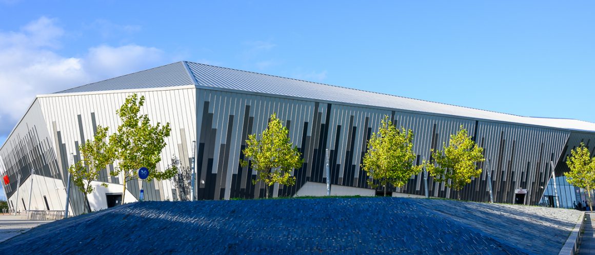 Viola Arena